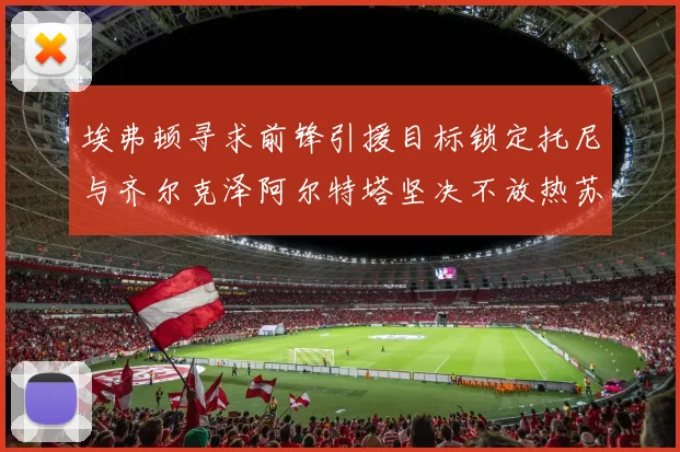 埃弗顿寻求前锋引援目标锁定托尼与齐尔克泽阿尔特塔坚决不放热苏斯