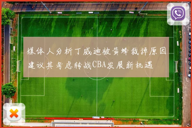 媒体人分析丁威迪被黄蜂裁掉原因建议其考虑转战CBA发展新机遇