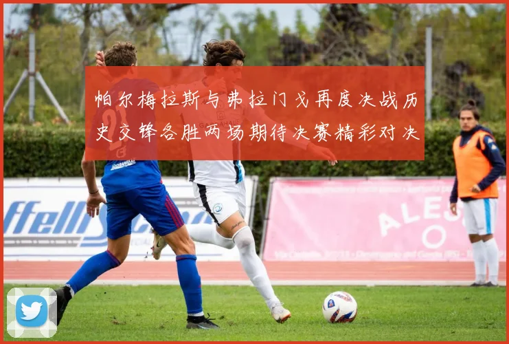 帕尔梅拉斯与弗拉门戈再度决战历史交锋各胜两场期待决赛精彩对决